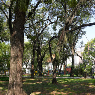 Plazas de Asunción