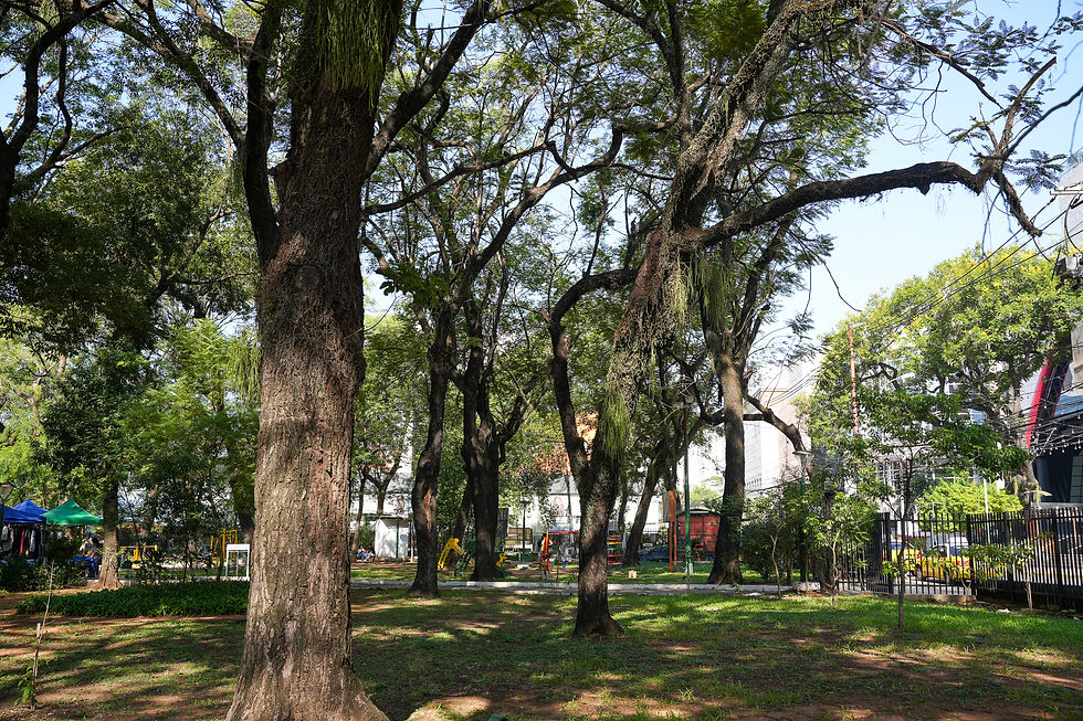 Plazas de Asunción