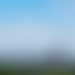 Ciudad del Este: Frontera, Comercio y un Nuevo Ciclo Urbano-Inmobiliario en el Este del Paraguay