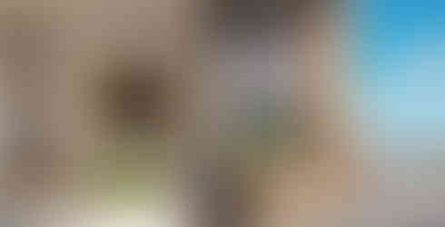 Venire Villa Morra apartamento