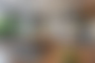 Urban Design Co’s Vision: Crafting Modern Interiors That Blend Function, Style, and Comfort