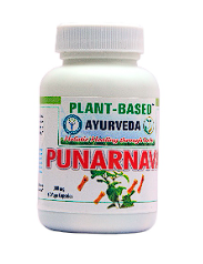Punarnava Capsules for Maintaining overall kidney health