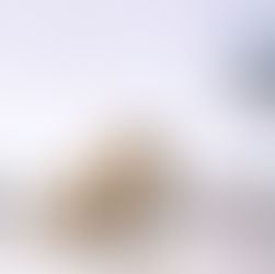 Secure your financial future with Doubleentry - Accurate accounting you can trust !