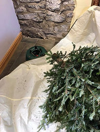 Taking tree down.jpg