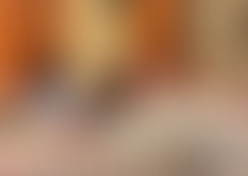 Reunión de trabajo con Insyde por Campaña vs Tortura