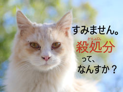 だけどおなじいきもの