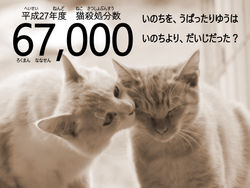 だけどおなじいきもの。