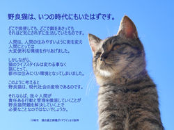 だけどおなじいきもの。