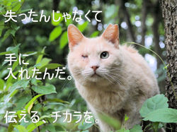 だけどおなじいきもの。