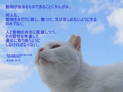 だけどおなじいきもの。
