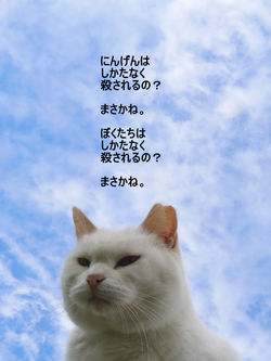 だけどおなじいきもの。