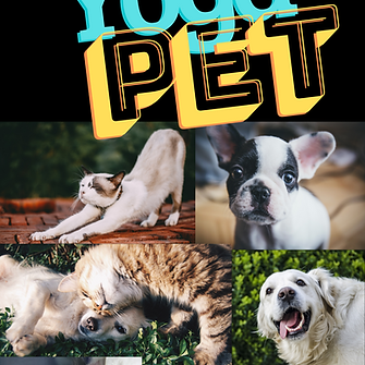 yoga pet - yoga sathya club