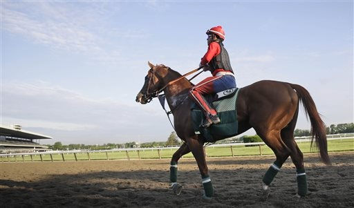 California Chrome allowed to wear nasal strips at Belmont
