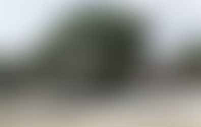 33 children killed in Colombia bus fire