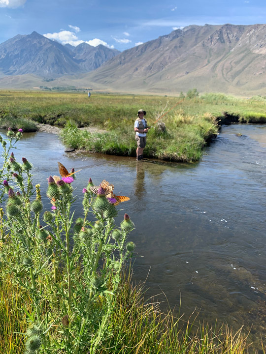 John B on a different section of McGee Creek