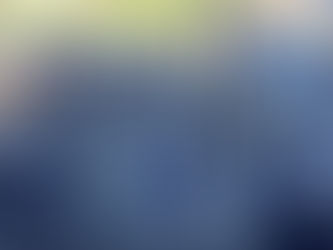 Monroe marching band performs at Pearl Harbor