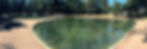pondfullscreen.jpg