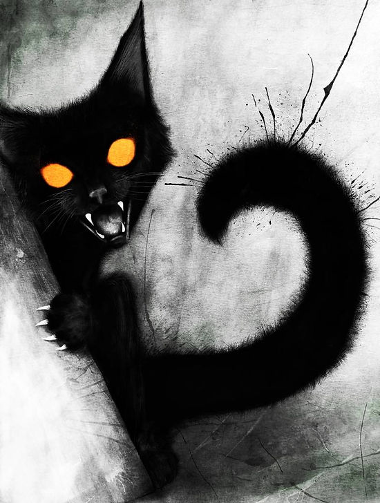 Angry Black Cat Print - Dave Dick Illustration
