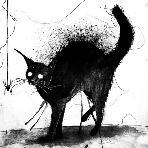 Frightened Black Cat Art Print | DaveDickIllustration