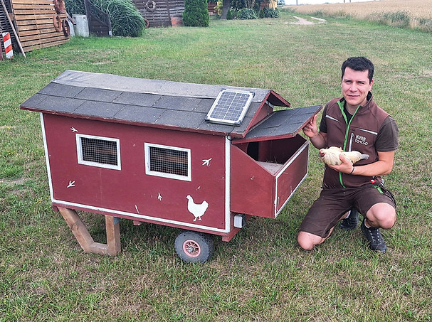 4c_huhn2.jpg