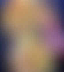 Tacos using somerset chilli co sauce