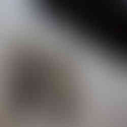 Yeast, hops and grains for beer making