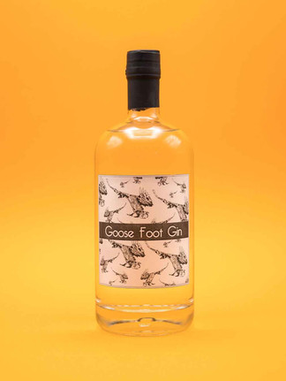 professional product photography