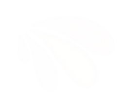IMG_0357.PNG
