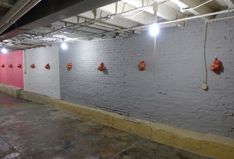 Zak Kitnick at Rowhouse Project