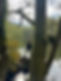 6609A73E-37E7-451D-8BE5-C4EDF93159BA_1_102_o.jpeg