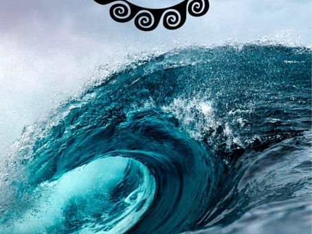 Best Time to Learn to Surf in Tamarindo: Dry Season vs Green Season
