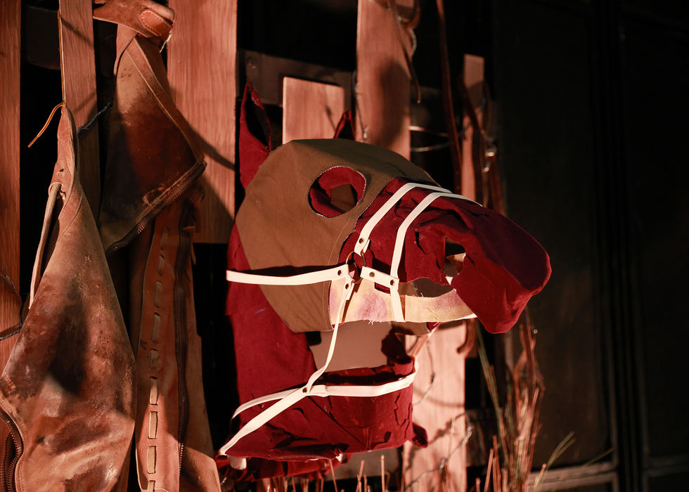 Equus Set 11