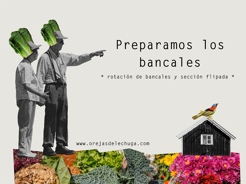 episodio podcast huerta urbana prepara bancales