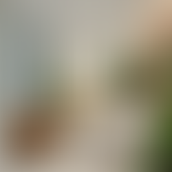 Understanding Interior Design Pricing: A Comprehensive Guide