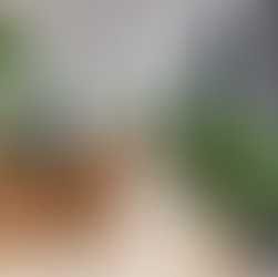 The 5 Key Elements of Successful Commercial Fitouts