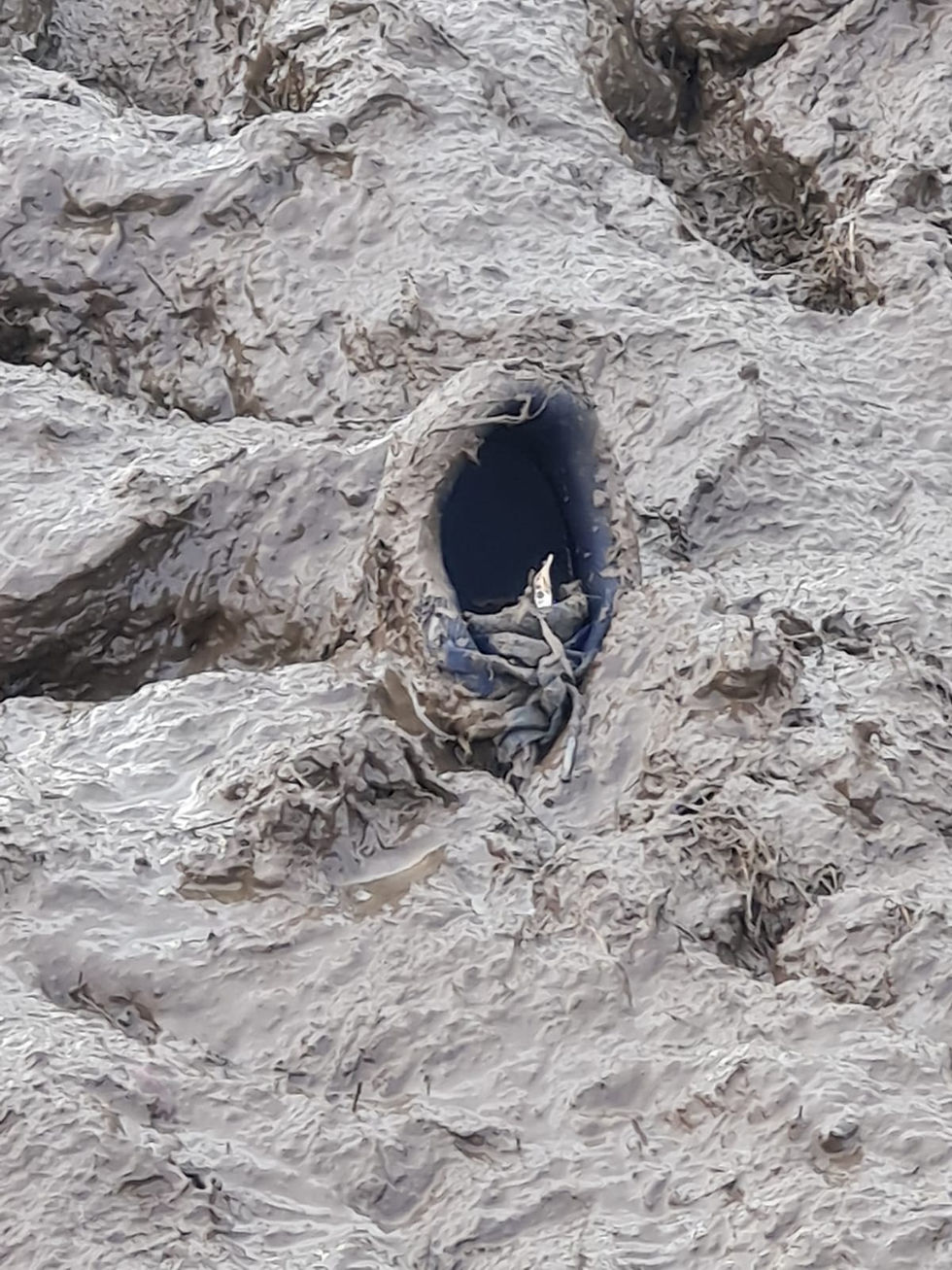 Championnat BZH de cross: de la boue, encore de la boue et... 8 podiums !