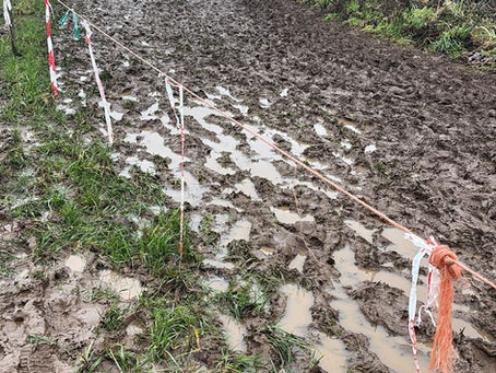 La belle moisson au Finistère de cross, au BZH adapté... et aux USA !
