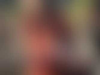 Western animal sentimentalism is causing the destruction of African wildlife