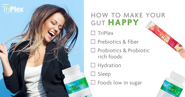 Gut Brain Gut Health Bacteria Probiotics Prebiotics Plexus