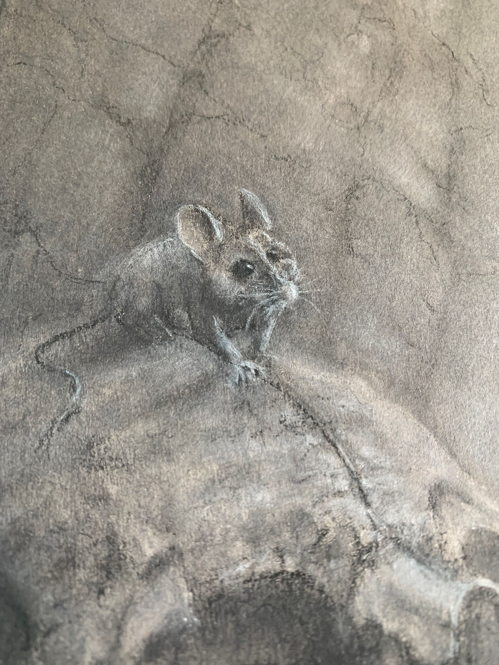 Thumbnail: "Ancient Playground"