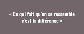IMG_3464.jpeg