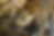 _B3A6650.png