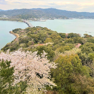 イベントのお知らせ