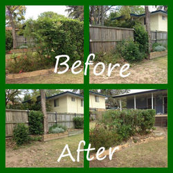 Before & After