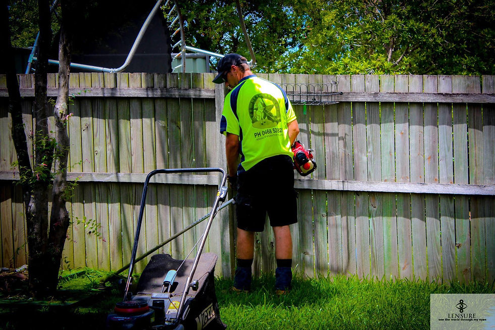dale mowing