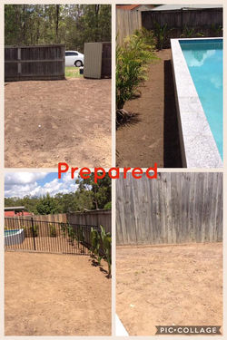 prepared turf