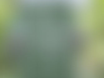 Unlocking the Essence of REI's Unconventional Black Friday Approach: OptOutside Movement