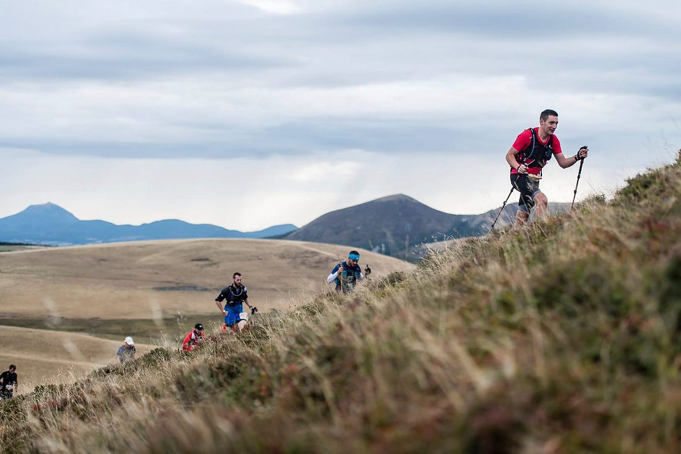 Coureurs en montée avec bâtons sur les crêtes du Sancy