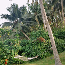 The Ayurveda Escape Yoga Retreat, Deutschsprachiges Ayurveda Yoga Retreat Indien, Soma Manaltheeram, Kerala, 24.10. - 04.11.26, Ohana Yoga Studio, Elisabeth Lorbeer,