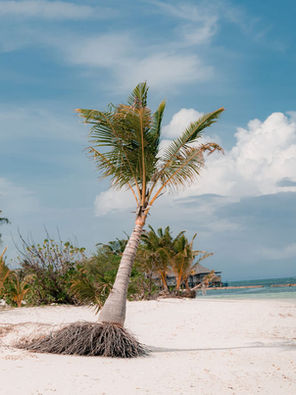 The Healing Ocean Yoga Retreat, Maldives, 25.04. - 05.02.2026, Deutschsprachiges Yoga Retreat, Ohana Yoga Studio, Elisabeth Lorbeer